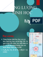 Năng Lượng Sinh Học - Nht