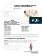 Resumen Anatomia