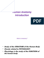 5 - Introduction of Anatomy