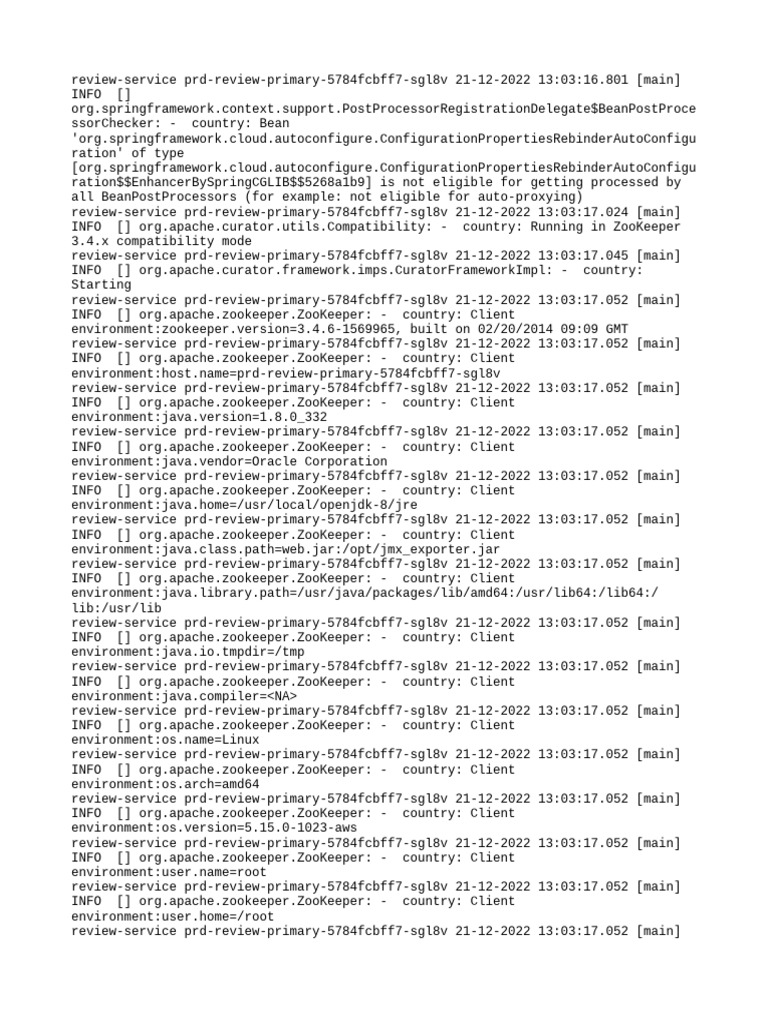 Spring Boot Review Service Logs | PDF | Computer Architecture | Software