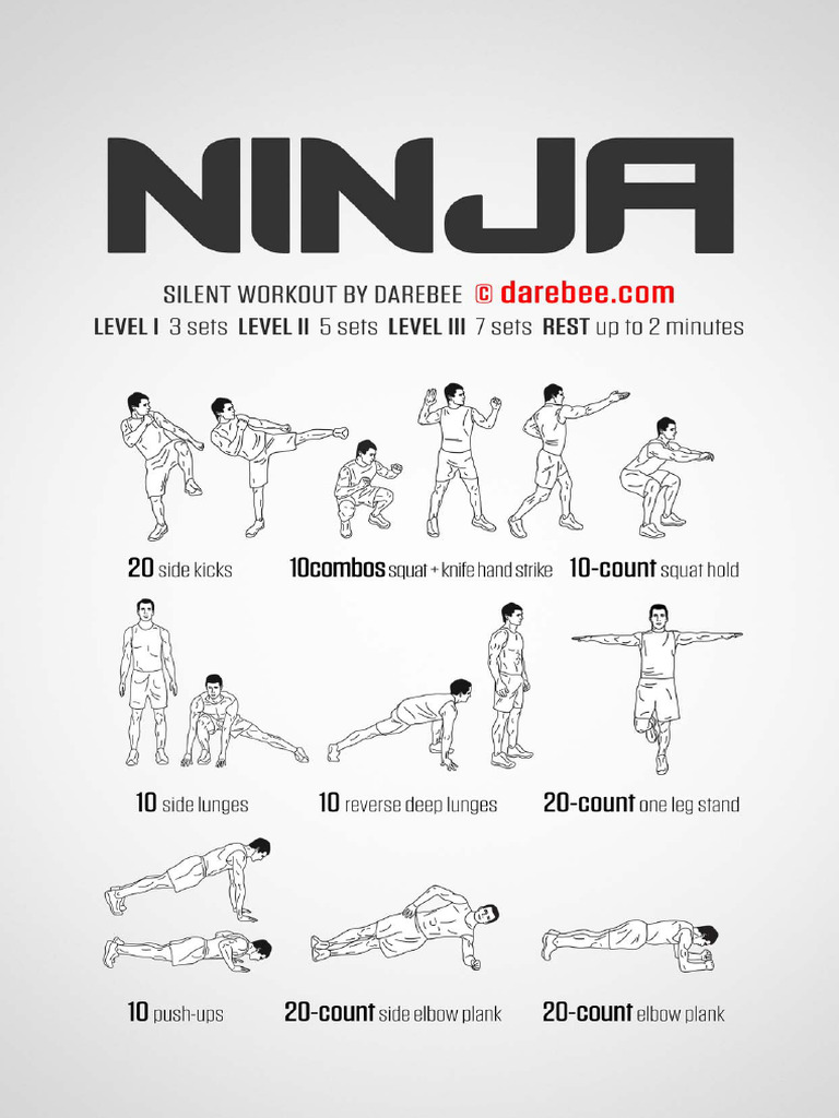 Ninja Workout PDF