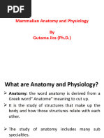 Mammalian Anatomy and Physiology