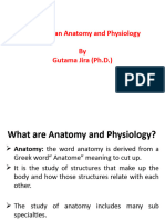 Mammalian Anatomy and Physiology
