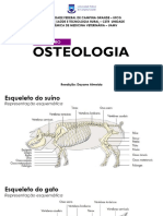Roteiro Osteologia e Vértebras Anatomia I
