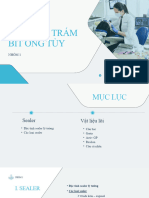 Vật Liệu Trám Bít Ống Tủy