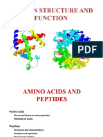 Protein Structure and Function