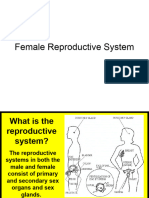 Reproductive System