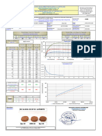 PV CISAI DIRECT CD -PK34+030-02-ER01-LATERITE