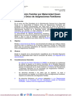 AAFF-01-06 Asignación Familiar Por Maternidad Down Sistema Único de Asignaciones Familiares