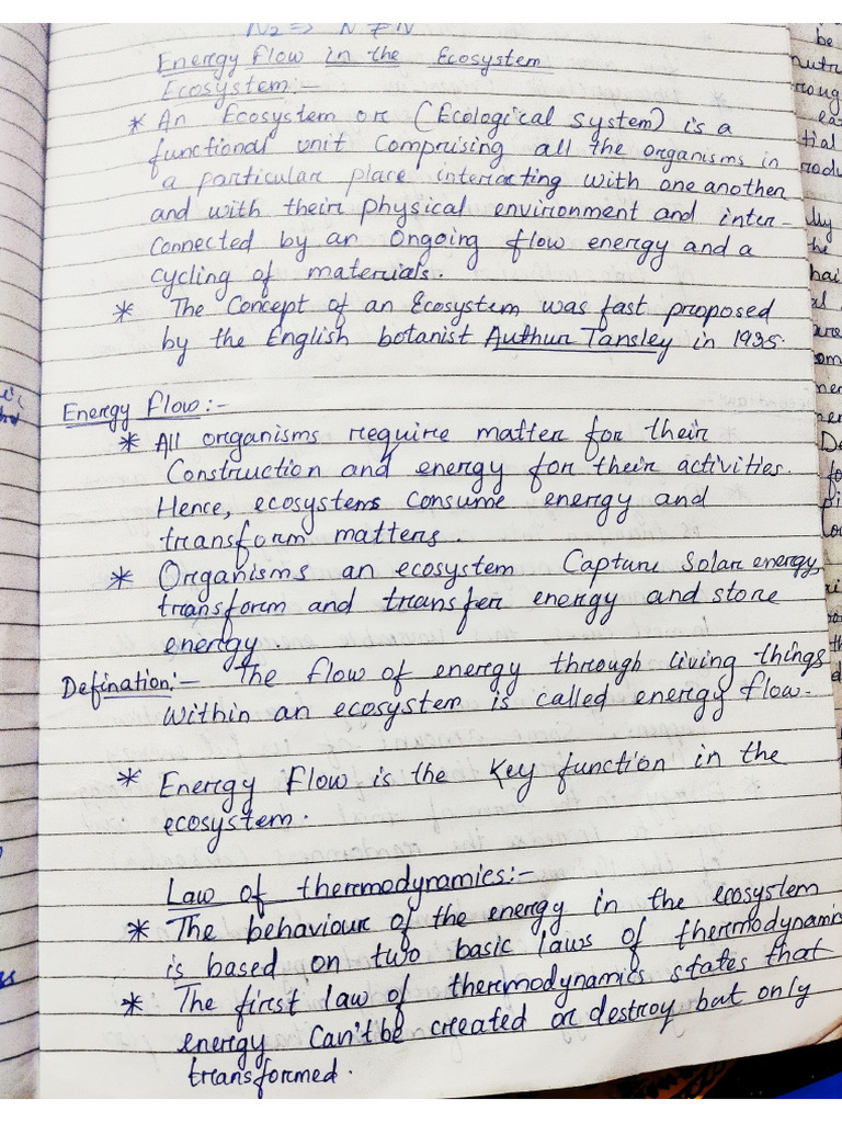 energy flow in ecosystem | PDF