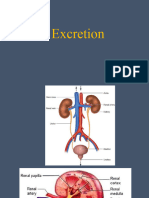 Excretion STD XI