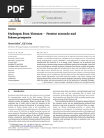 2010 (Balat and Kırtay) - Hydrogen From Biomass - Present Scenario and Future Prospects