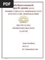 Class 12 Practical File Informatics Practices