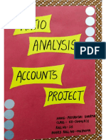 Accounts Term 2 Project