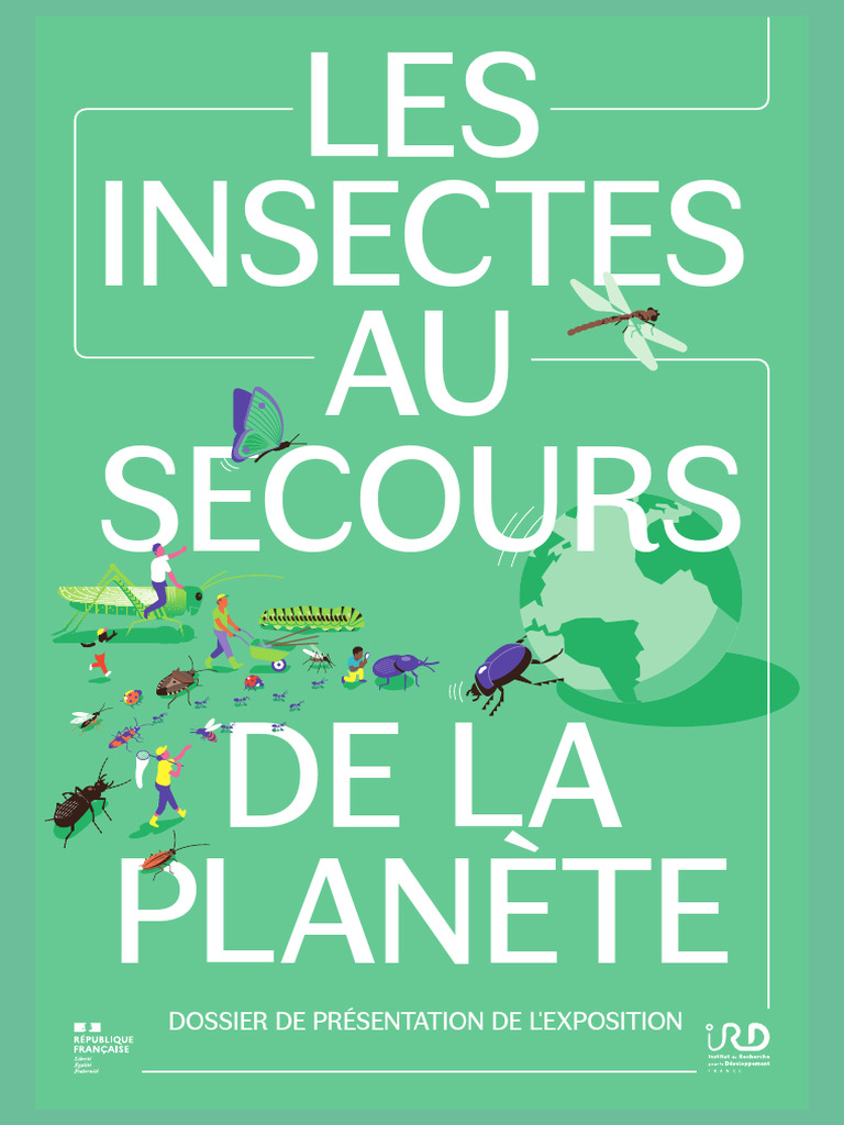 Insectes : Clés de la Durabilité Écologique | PDF | Développement ...