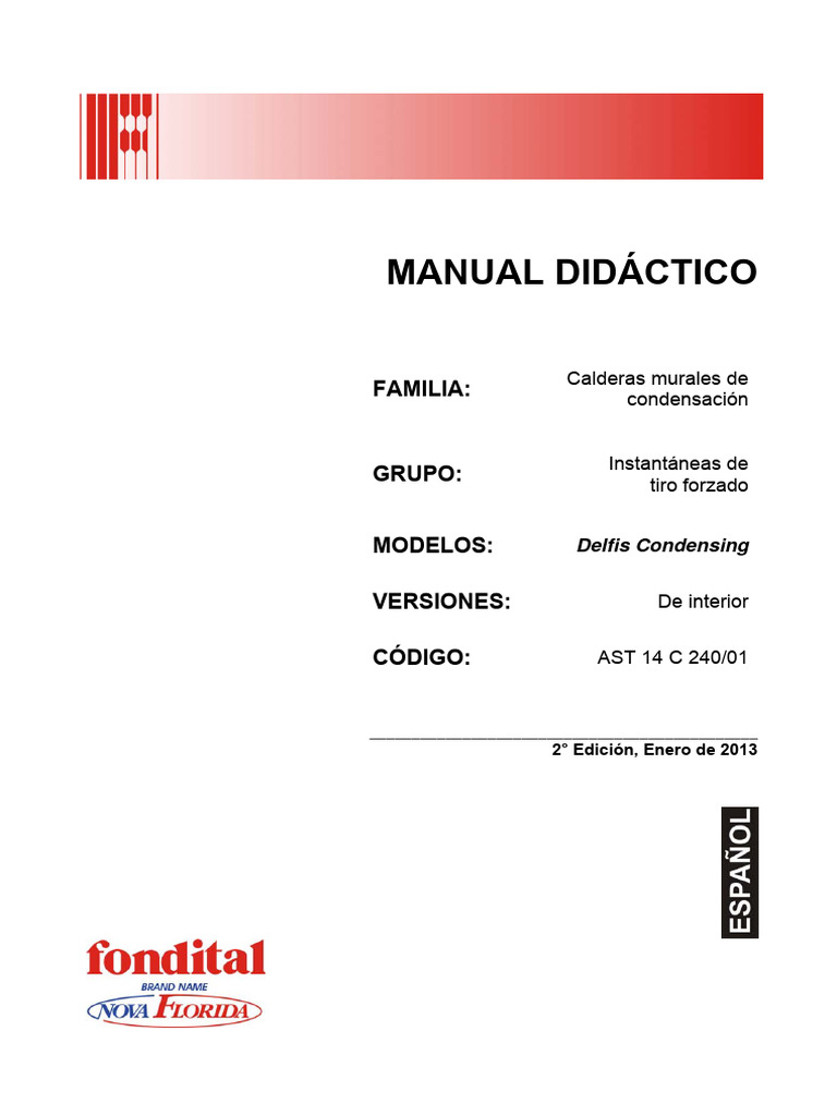 Manual Delfis Condensing PDF