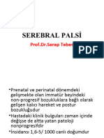 Serebral Palsi̇