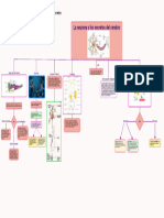 Diagrama de Actividades