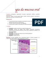 Histologia Da Mucosa Oral 2