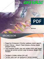 Pertemuan 6. Asam Nukleat