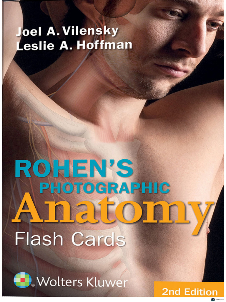 Rohens Photographic Anatomy Flash Cards (Etc.) PDF