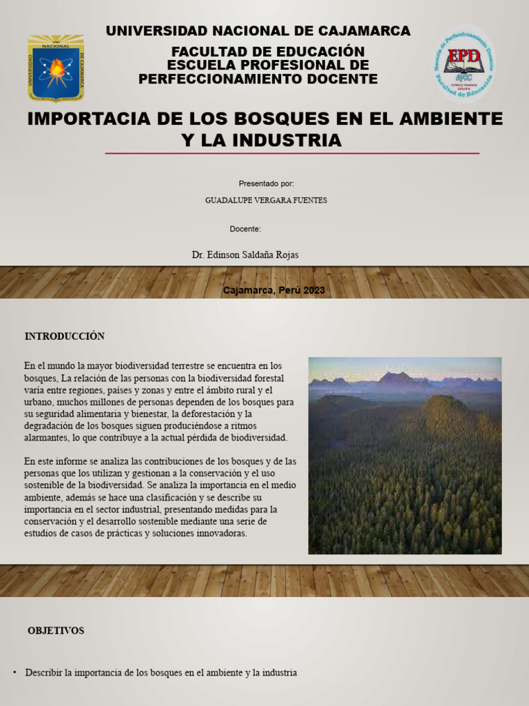 Importancia de los Bosques en el Ambiente | PDF | Los bosques ...