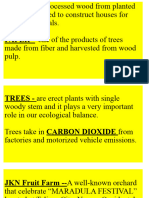 Tress That Is Used To Construct Houses For Man and Animals. Made From Fiber and Harvested From Wood Pulp