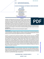 (21-25) Jungian Archetypes and Patriarchal Patterns in When Nietzsche Wept