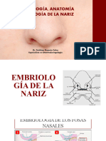 ANATOMIA, EMBRIOlOGÍA Y FISIOLOGÍA DE LA NARIZ