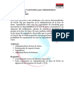 Oracle 10g Nuevas Caracteristicas para DBA