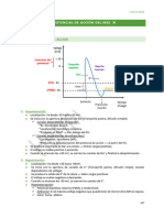 10) MEE - Potencial de Acción, Acoplamiento Excito-Contractil