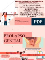 Prolapso Genital, Incontinencia Urinaria y Transtornos Vaginales
