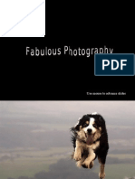 Fabulous Photography