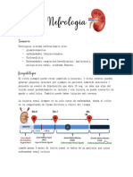 Clase 4 Nefrologia