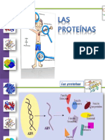 Tema #8 Proteinas Unidad II