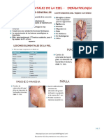Lesiones Elementales de La Piel Dermatologia 192599 Downloable 2060122