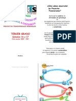 3°semanas16y17 ProyectosTransversales