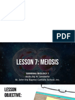 Lesson 7 - Meiosis