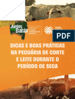 Dica Contra A Seca - Pecuária