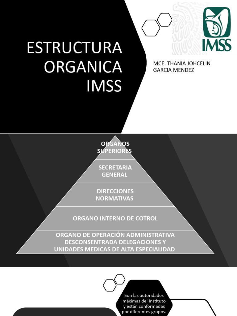 organigrama-imss-pdf