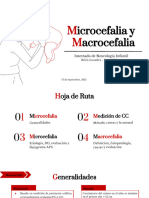Macro y Microcefalia