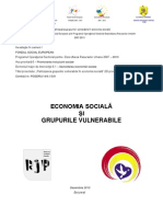 Economia Sociala Si Grupurile Vulnerabile Final Dec 2010