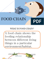 Food Chain Fdemo