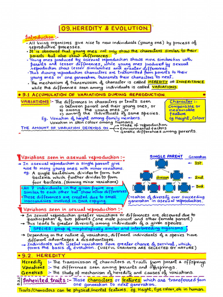 CH No.9 Heredity and Evolution Edumantra Super Notes | PDF