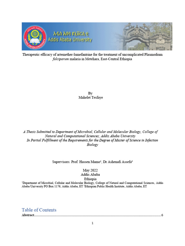 Mahlet Thesis Draft 2 Final Pdf Malaria World Health Organization