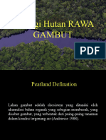 ECOLOGY Peat Swamp - Indo-1