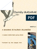 Madarak