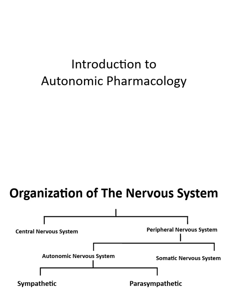 ANATOMY AND PHYSIOLOGY OF AUTONOMIC NERVOUS SYSTEM PDF visual data 2