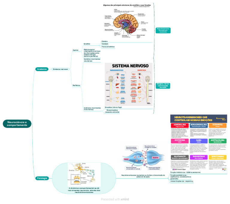 Mapa mental - Neurociência e comportamento | PDF | Sistema nervoso ...