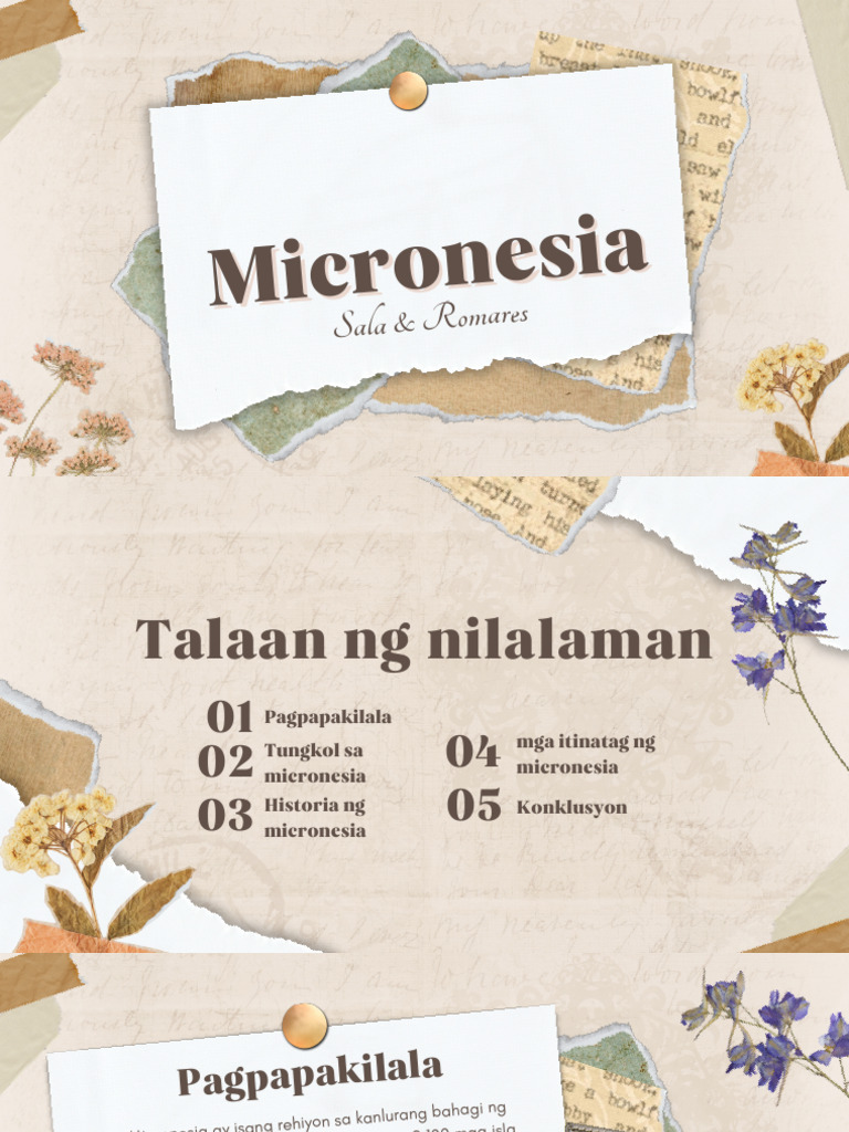 Micronesia Pdf
